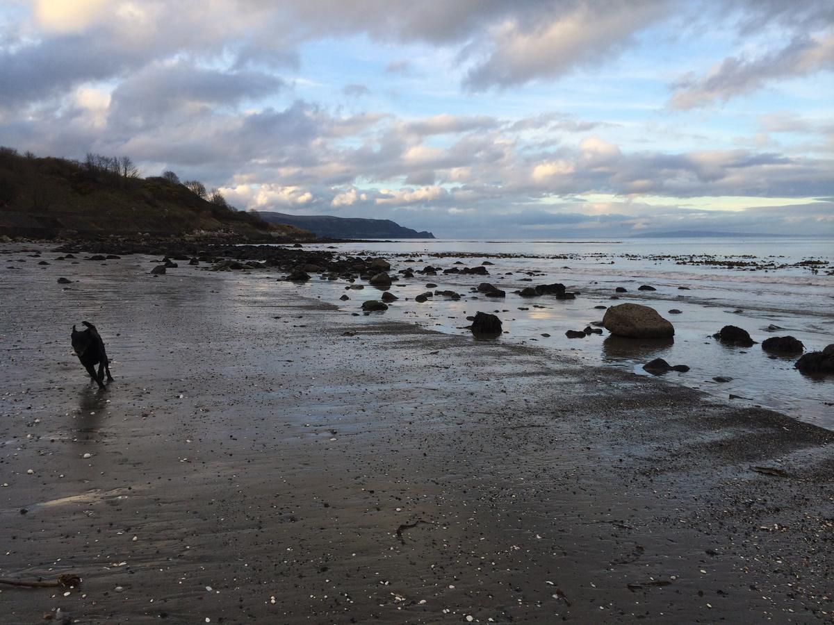 Josies Place At Waters Edge Self Catering Apartment Glenarm Bagian luar foto